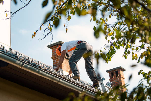 Best Roof Repair Specialists  in Staunton, VA
