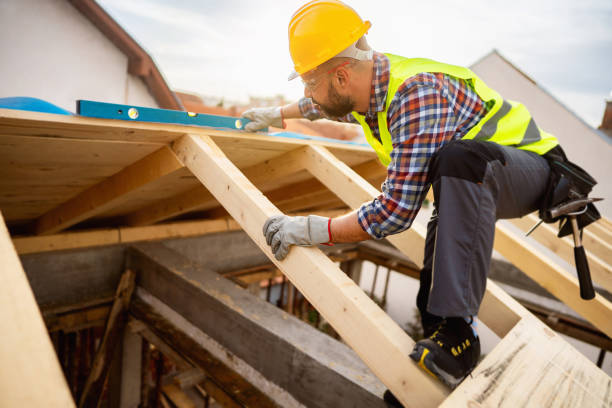 Best Roof Gutter Cleaning  in Staunton, VA