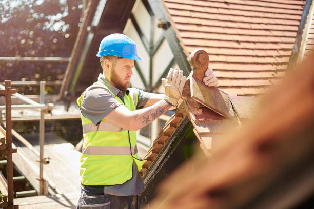Best Roof Gutter Cleaning  in Staunton, VA